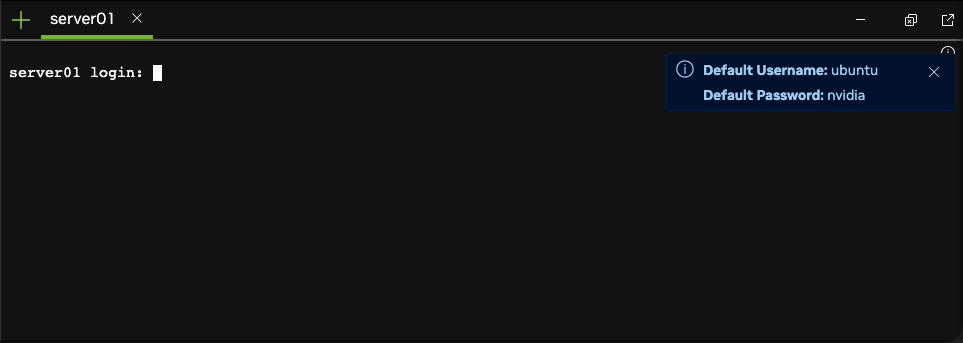 example console with login prompt