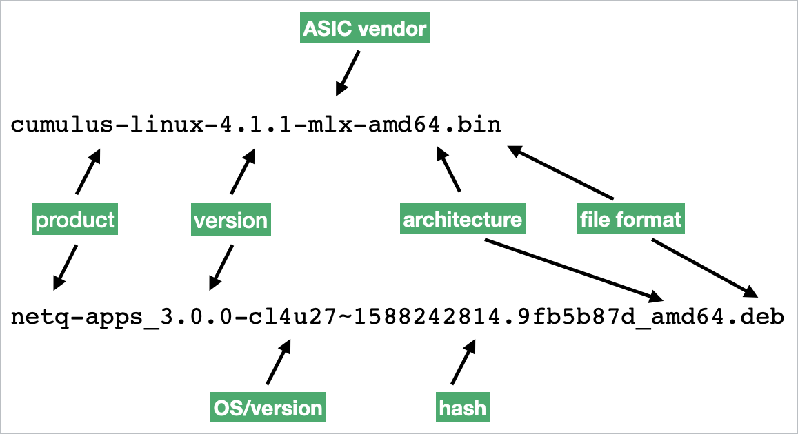 download file showing how LCM parses the file's metadata